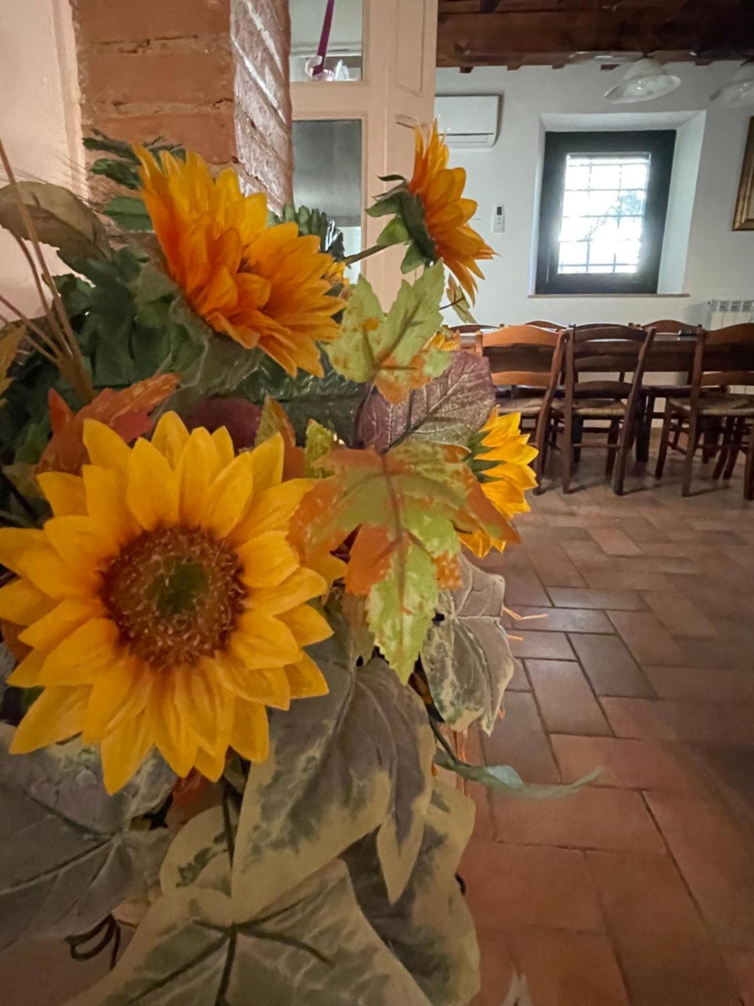 Intero Appartamento Con Private Pool E Jacuzzi Podere Settefrati Montaione Eksteriør billede
