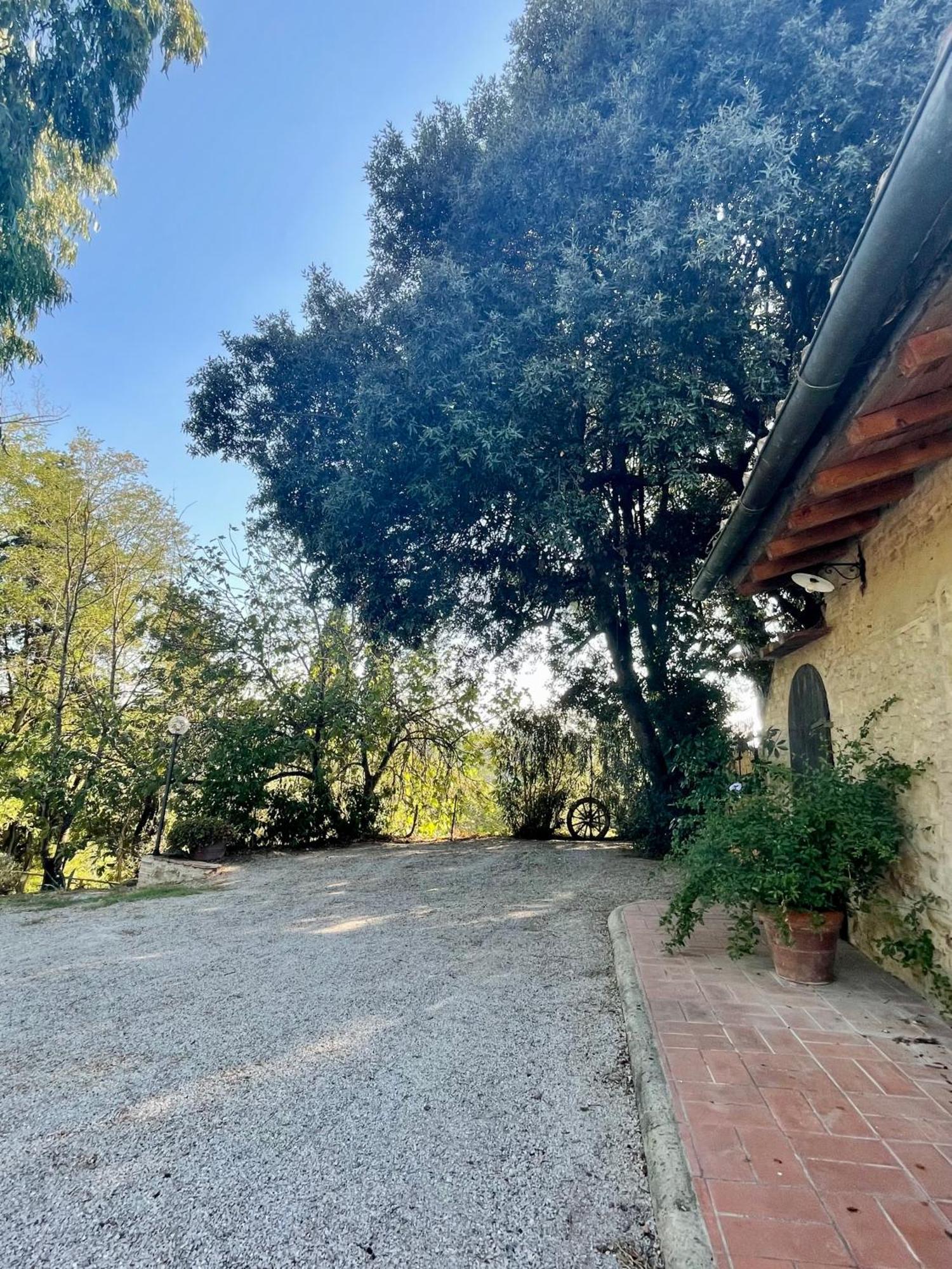 Intero Appartamento Con Private Pool E Jacuzzi Podere Settefrati Montaione Eksteriør billede